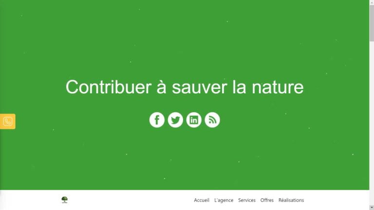 Conception de site web
