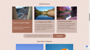 Conception de site web