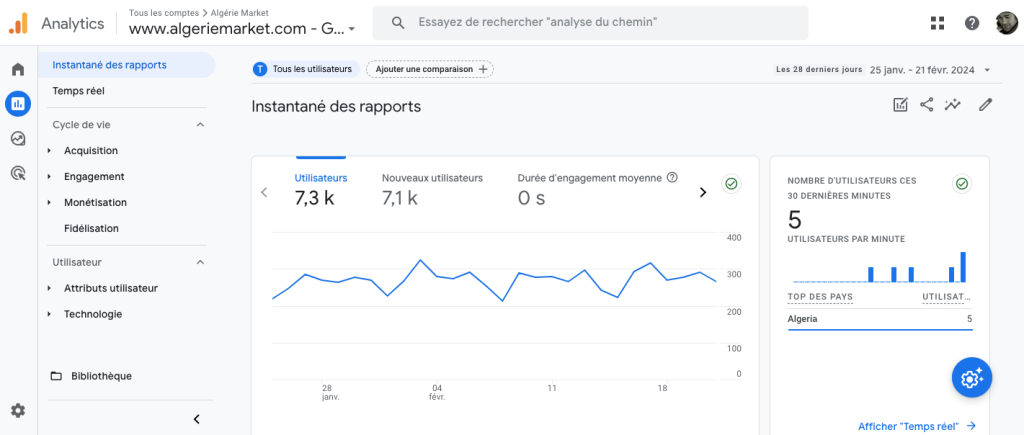 Google Analytics reports
